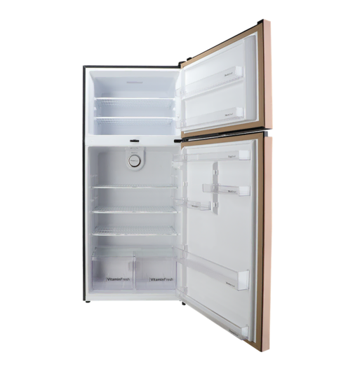 REF 9193LF CHROME HAIRLINE BLACK Double Door Refrigerator