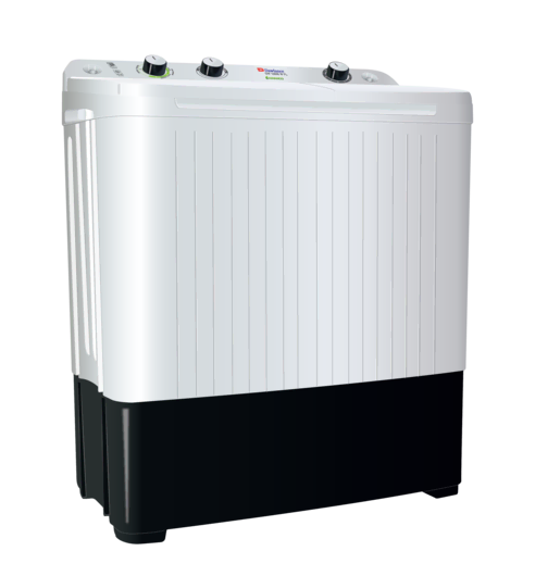 DW 10600 W FL Twin Tub Washing Machine